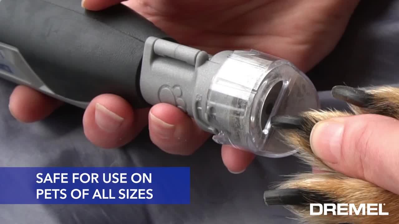 Dog Nail Grinder Review | Our Secret Weapon for Painless Trims